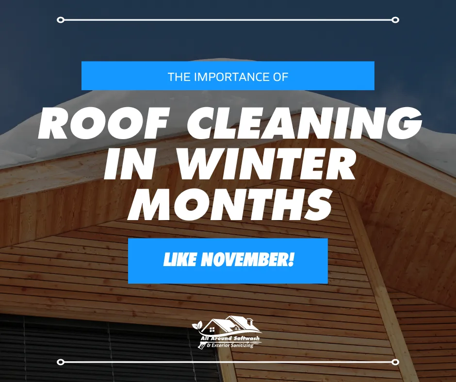 importance of winter roof cleaning